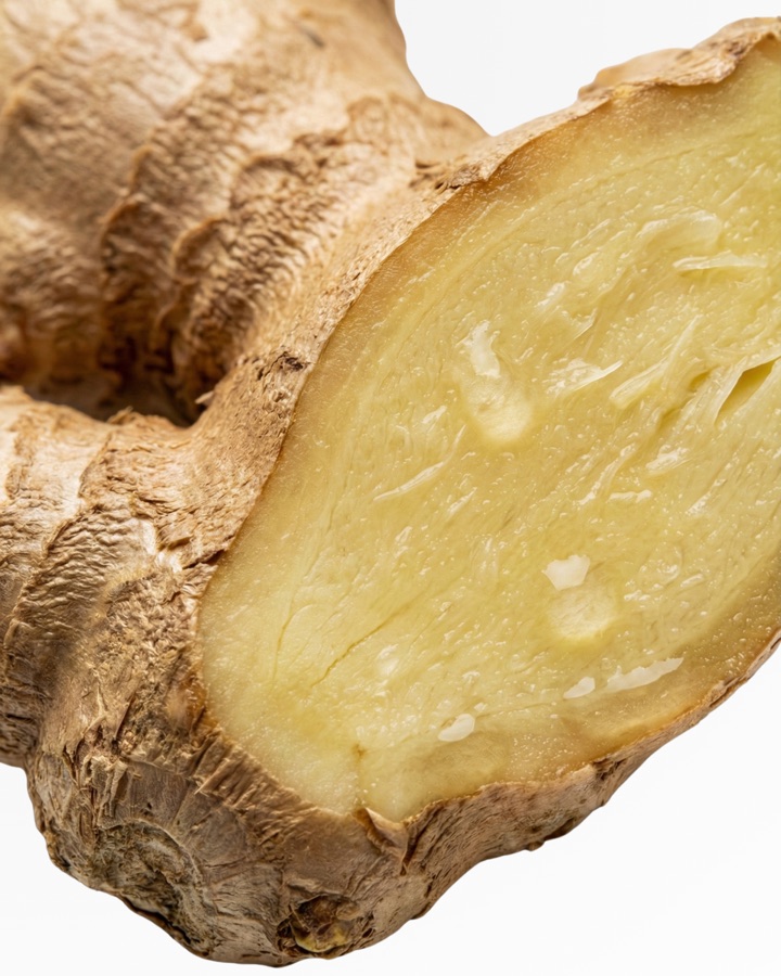 GINGER